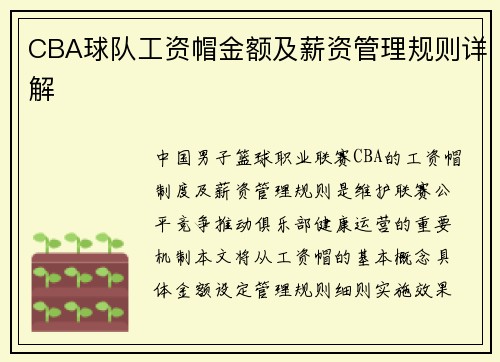 CBA球队工资帽金额及薪资管理规则详解