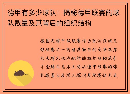 德甲有多少球队：揭秘德甲联赛的球队数量及其背后的组织结构